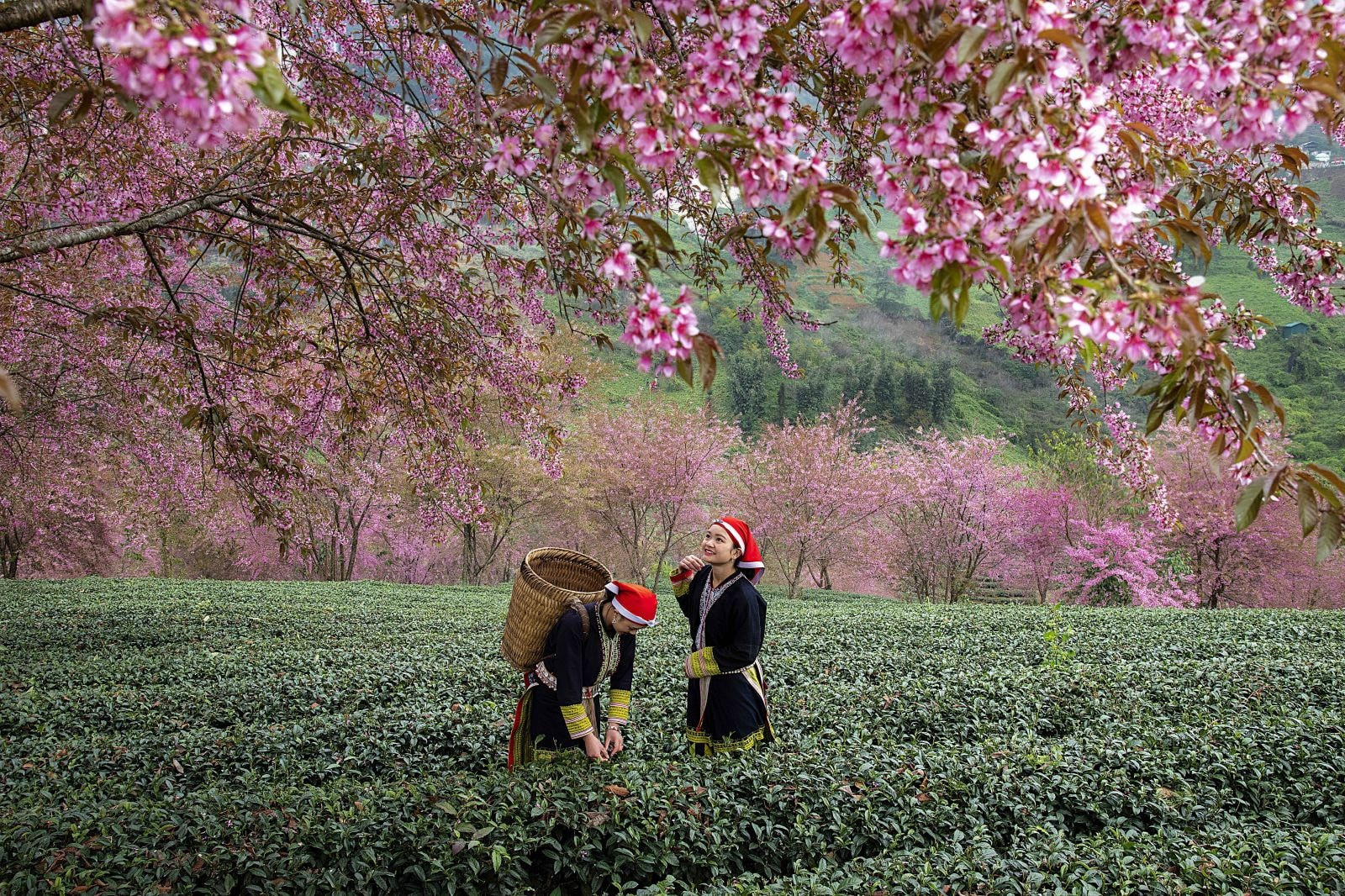 Săn vé máy bay giá rẻ tháng 1